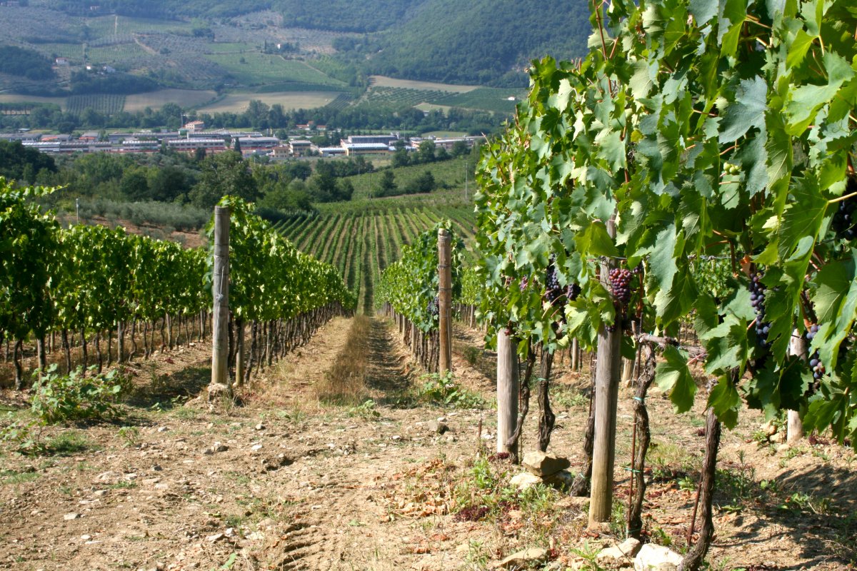 I Veroni and Pontassieve