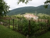 kitchen garden