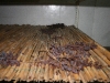 dried grapes