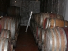 barriques at Massa Vecchia