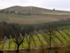 view from Barolo