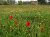 Easter 2011