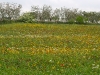 Easter 2011