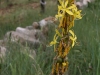 Easter 2011