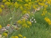Easter 2011