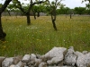 Easter 2011