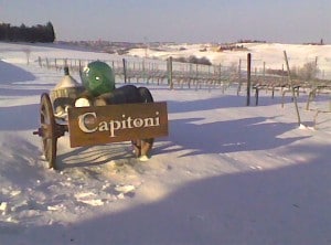Neve a Capitoni