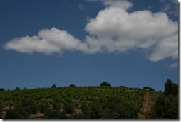 IMG_2819