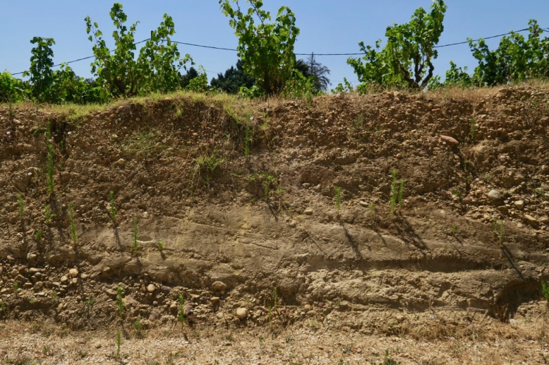 soil sample Châteauneuf: sand/stones/clay
