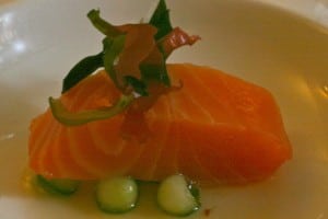 Salmon