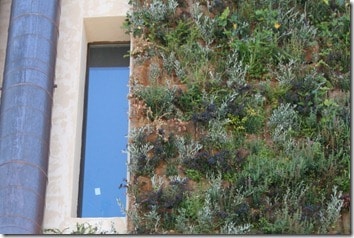 insulating vertical garden