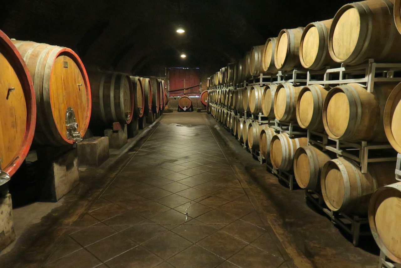 Diary 41: Piemonte–wine regions for the adventurous