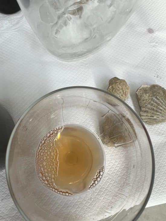 Unfiltered Timorasso