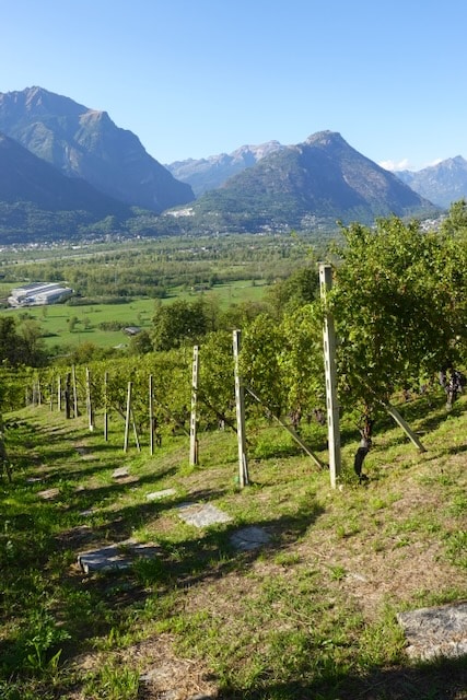 Across the Toce valley