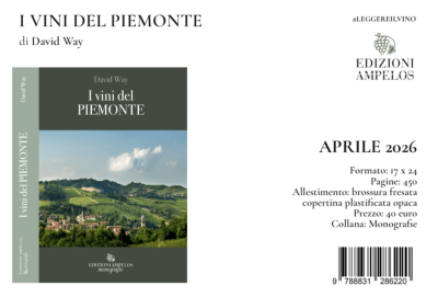 I vini del Piemonte